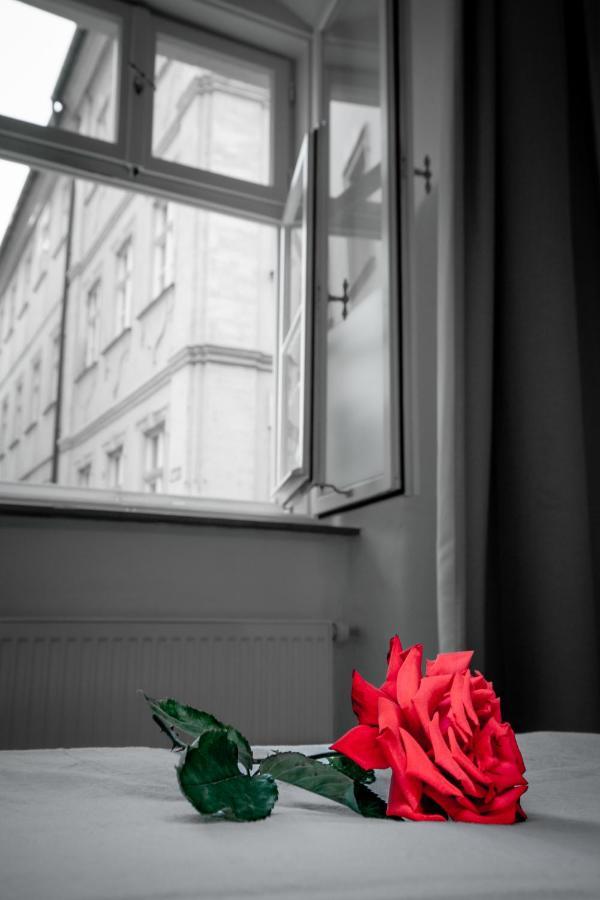 Adam&Eva Apartment Bamberg Luaran gambar